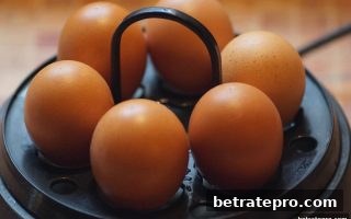 转轴设置全面解析：博彩公司信誉评级如何塑造在线老虎机的核心体验