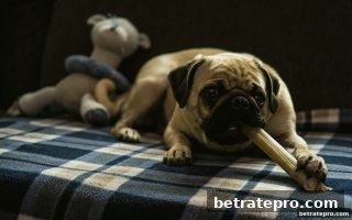 博彩公司信誉评级视角：永利快乐十分冷热号深度研判与高效选号方案