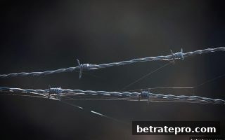 轮盘冷热号深度剖析：博彩公司信誉评级教你理性看待随机