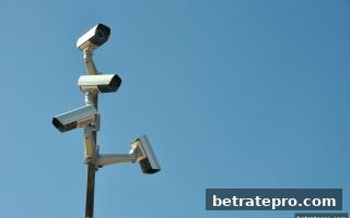 极速赛车返水比例深度解析：博彩公司信誉评级教你识别真实回馈