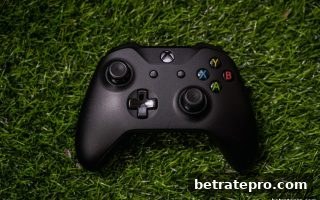 博彩公司信誉评级：深度解析DG真人水果机组合下注策略与长期盈利逻辑